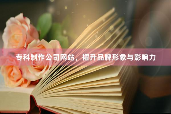 专科制作公司网站,擢升品牌形象与影响力