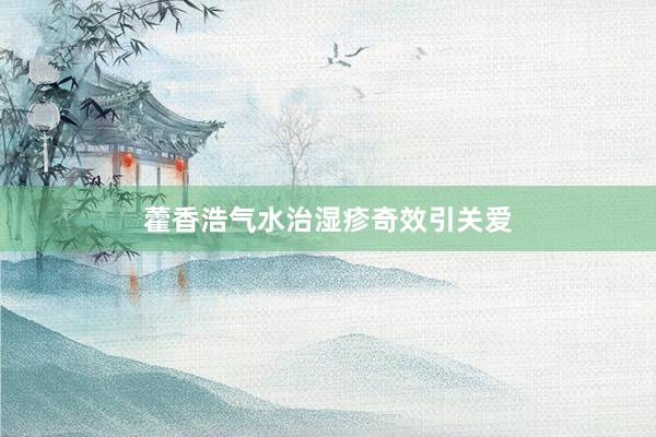 藿香浩气水治湿疹奇效引关爱